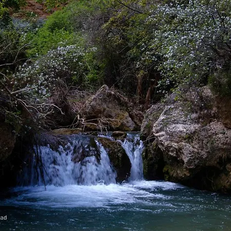 Casa De La Abuela Digit@l *